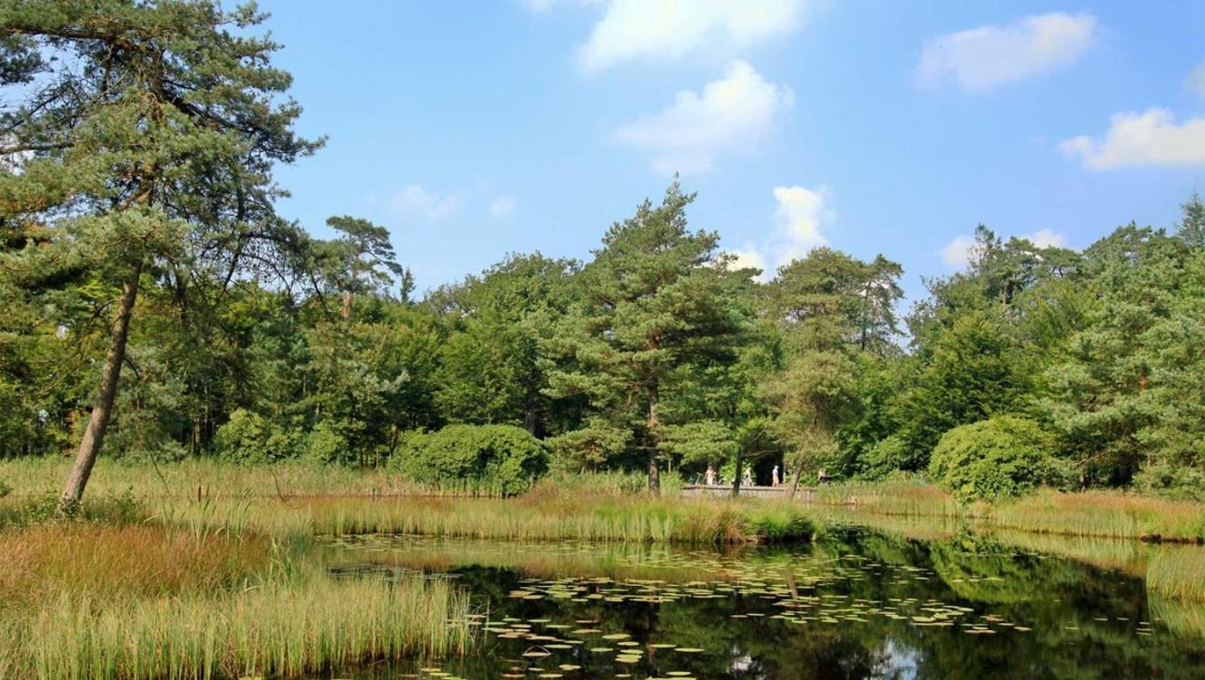 Comfortabel Chalet In Nationaal Park Wateren Exterior foto
